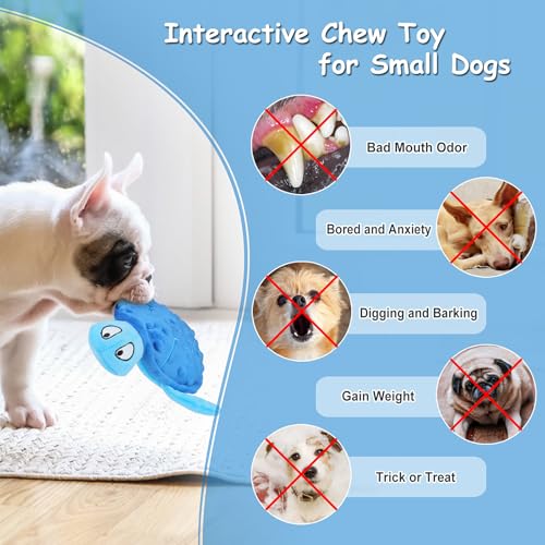 TONYFY Quietschendes Hundespielzeug, Meeresschildkröte Plüsch Hundespielzeug, Interaktives Spielzeug für Welpen zum Zahnen (Blau)