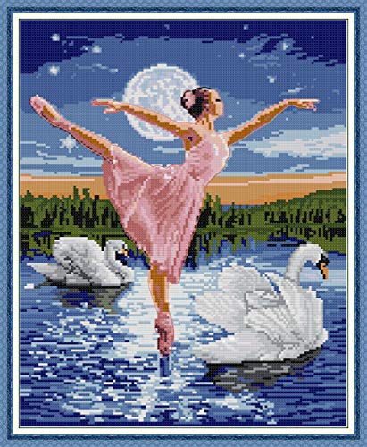 OWN4B Cross Stitch Kits Stamped, Swan Lake of Ballet Printed Pattern 11CT 16.5x19.7 inch DIY Embroidery Kit