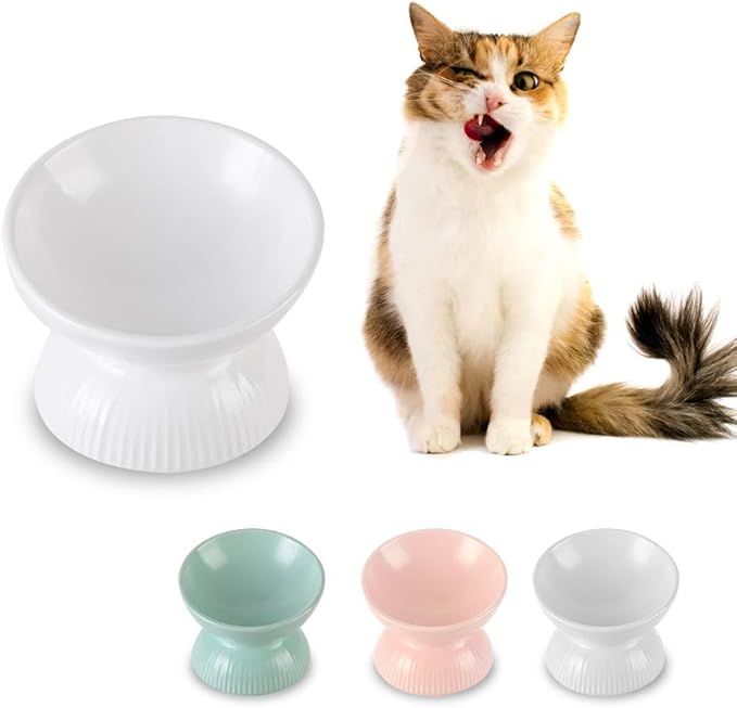White Small Cat Bowl,Raised Cat Food Bowls Anti Vomiting,Tilted