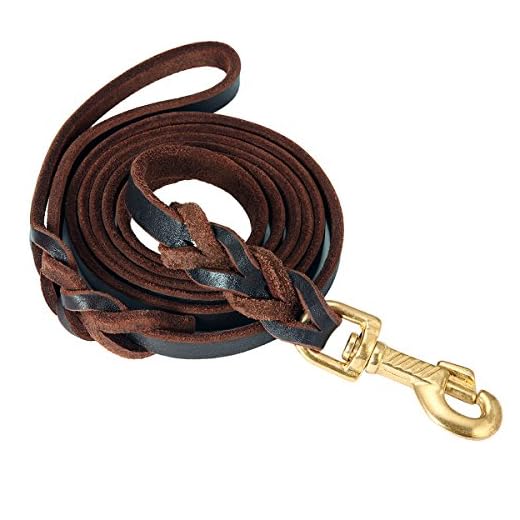 FOCUSPET Leather Dog Leash 6 ft Leather Dog Training Leash Pet Braided Dog Leash for Large Medium Leads Rope Dogs Walking&Training (1/2 Inch,Brown)