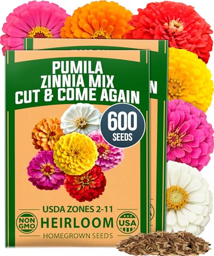 Image of HOME GROWN Dwarf Zinnia Seeds Mix - 600 Pumila Zinnia Seeds for 2026 (0.6g) | Zinnia Flower Seeds for Planting Outdoors | Colorful Cut Annual Flowers for Summer Gardens & Containers (Zinnia elegans)