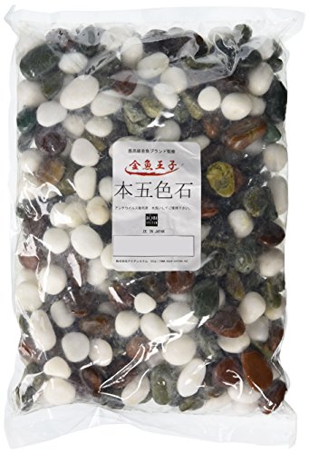 アクアシステム 金魚王子 本五色石 4kg