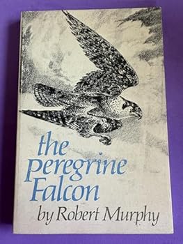 The Peregrine Falcon