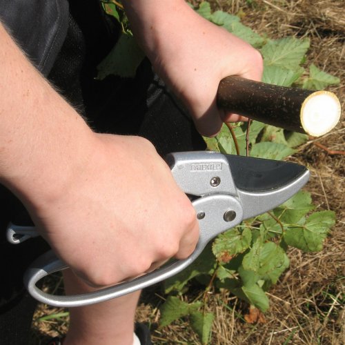 The Gardener's Friend Pruners, Ratchet Pruning Shears, Garden Tool, for Weak Hands, Gardening Gift for Any Occasion, Anvil Style