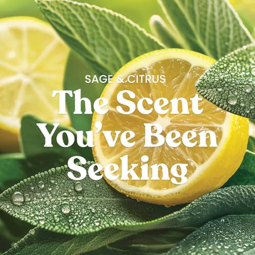 Image of Yankee Candle Sage & Citrus, Scented Candle, 22oz Large Jar with up to 150 Hour Burn Time, Giftable, Birthdays (Pack of 4)