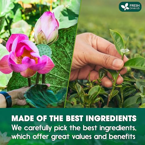 Image of FreshDrinkUS, Premium 20 Tea Bags of Lotus Green Tea, 100% Natural. Exquisite Flavor, Handpicked Leaves, Perfect for Tea Lovers. No Sugar, No Gluten, Vegan.