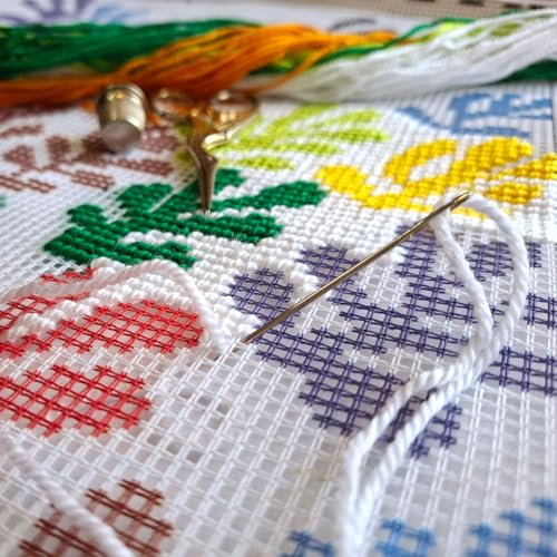 Image of Brvsk Abstract Embroidery Kit for Adults and Beginners - The Sheaf by Henri Matisse 16″ x 16″ with Clear, Precise Printed Design on Cotton Canvas; Includes 2 Needles, Yarn, and Easy-Read Chart