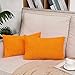 TAN.TOMI Lot de 2 Housse de Coussin 30x50cm en Velours côtelé Orange foncé Housse De Coussin Decoratif pour Canapé(Orange foncé 30x50 CM)
