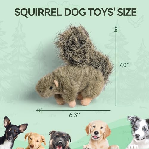 All for Paws 4001 Classic - Squirrel Small - Hundespielzeug kleines Eichhörnchen