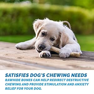 Premium-Rawhide-Retriever-Rolls-for-Dogs-Bone-8-10-6-Count-All-Natural-Grass-Fed-Free-Range-Hand-Rolled-Dog-Bones-Medium-and-Large-Dogs - Cucciolini Doodles Premium-Rawhide-Retriever-Rolls-for-Dogs-Bone-8-10-6-Count-All-Natural-Grass-Fed-Free-Range-Hand-Rolled-Dog-Bones-Medium-and-Large-Dogs