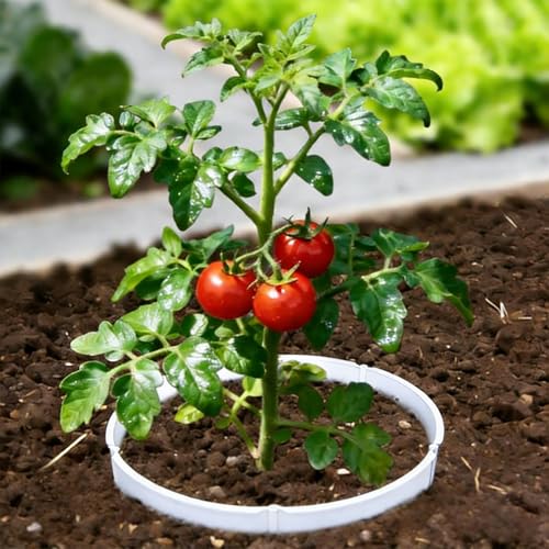 Anneau de support modulaire pour sublimer vos massifs de fleurs