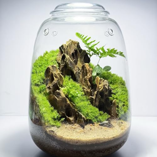 Image of Natural Rocks Dragon Stone 1-2.5 Inches Decorative Rocks for Miniature Terrariums,Fairy Gardens,Bonsai,DIY Crafts, Aquariums Dioramas & Wargaming-1lb