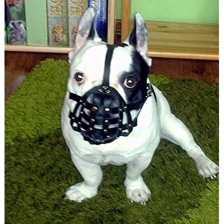 Amazon フレンチ ブルドッグ犬用マズル口 輪犬のしつけ用品無駄吠え防止器具マズールカバーセーフティマスクしつけ用口輪拾い食い防止 噛みぐせ防止 キズ舐め防止 むだ吠え防止 フレンチ ブルドッグ Fb1 ブラック Champion For L J Pets Uk マズル 口輪 通販 Amazon フレンチ ブルドッグ犬用マズル口 輪犬のしつけ用品無駄吠え防止器具マズールカバーセーフティマスクしつけ用口輪拾い食い防止 噛みぐせ防止 キズ舐め防止 むだ吠え防止 フレンチ ブルドッグ Fb1 ブラック Champion For L J Pets Uk マズル 口輪 通販