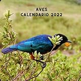 calendario escolar uach 2018  Calendario Aves 2022: Con días Festivos USA  Planificador de 12 meses Enero de 2022 - Diciembre de 2022 Calendario  Regalos Para Amantes De Los Gatos