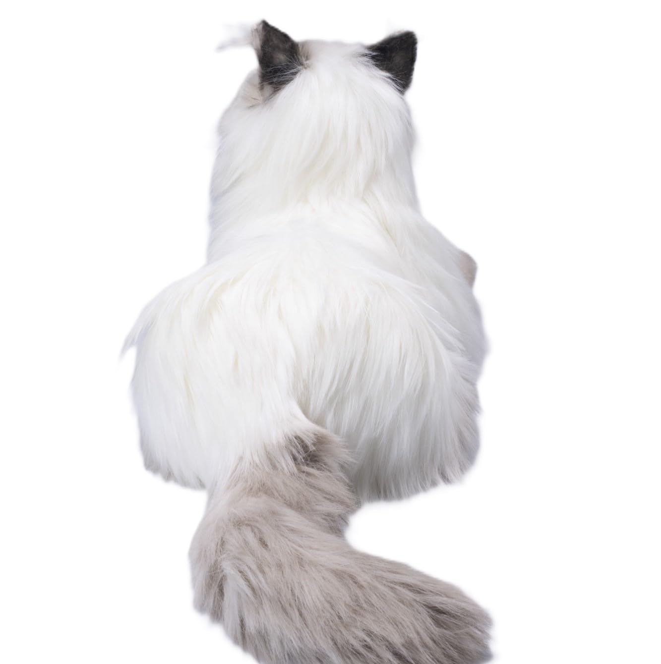 Amazon.co.jp | トレンドマスター なでなでねこちゃんEX