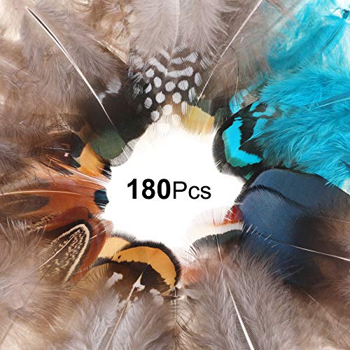 Mwoot 9 Styles Assorted Crafts Feathers, 180Pcs Diy Dreamcatcher Crafts Art Decor Feathers, Diy Earring Wings Carnival Party Mask Activities Project Accessories Small Feather - Mixed Green Blue Brown #TOP1
