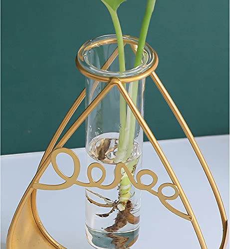 Radefasun Desktop Plant Vases With Test Tube Glass Flower Vase With Gold Metal Stand Propagation Station Plant Holder For Home Wedding Decor (Gold, Heart) #TOP6