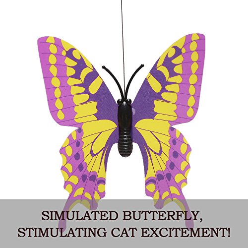 Befied Gatto giocattolo piuma Wedel Funny