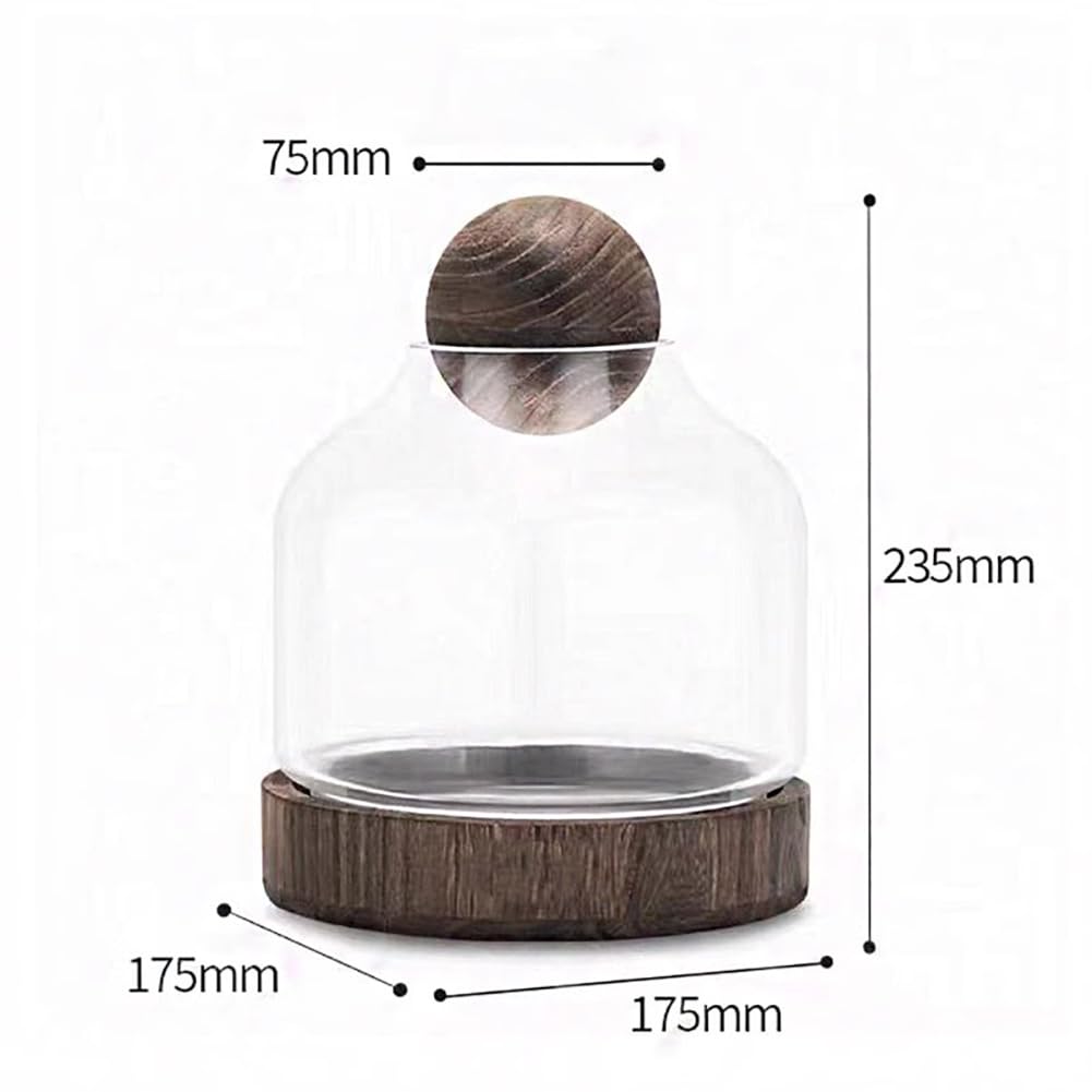 Ciotola di Pesce con Base in Legno, Serbatoio di Pesce Betta di Vetro per Pesce E Piante, Ciotola di Pesce in Vetro Aperto per Pesce Rosso E Pesce Betta, 2 in 1 Serbatoio di Pesce,Dark s