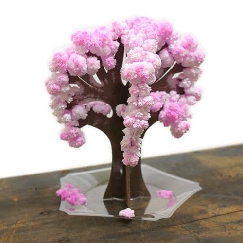 }WbNc[  }WbN CeA t Mtg Ԍ {