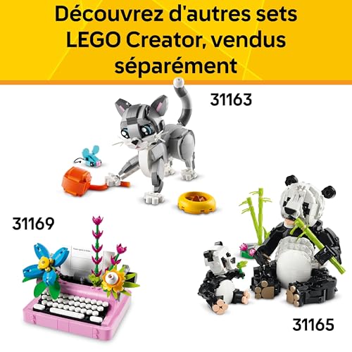 LEGO Creator 3-en-1 Animaux Sauvages : Le Flamant Rose - Jouet de Construction se Transformant en Figurine de Cacatoès ou en Axolotl - Cadeau d'anniversaire Original Fille ou Garçon dès 8 Ans 31170