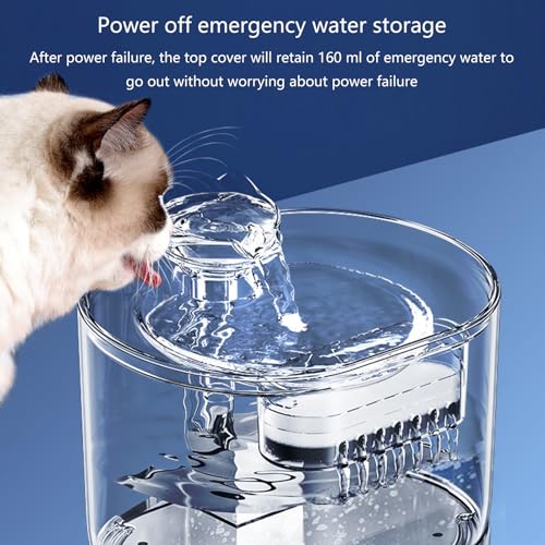 Fuente automática para gatos y perros con gran capacidad miniatura 3