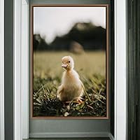 Framed Canvas Wall Art Single Bird Birds Expressive Farmhouse/Country Multicolor Photography Portrait Single - 16x24 inches