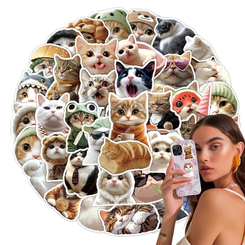 Comida Humeda para Gatos Kitten Marca Senermter