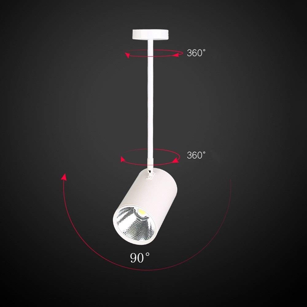 Faretti da soffitto a LED con palo Lungo montati in Superficie, faretti Regolabili, Illuminazione a Binario per Appendere Abiti, Illuminazione a Pannello antiabbagliamento COB Commerciale, Access