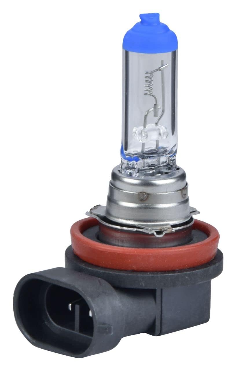 Potauto H8 CRYSTAL WHITE Head Light Halogen Bulb For Car, 12V 100W - PGJ19-1 | 4300K | Single Piece