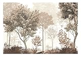 Vlies Fototapete Wald | inkl. Kleister