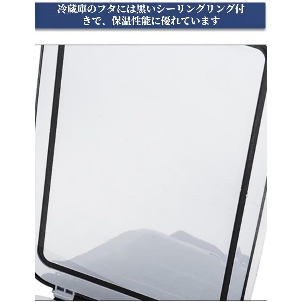 Amazon.co.jp: Fiauvx 車載冷温庫 6L /8L 保温保冷庫 クーラーボックス