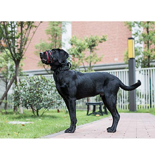 Gentle Dog Muzzle For Small, Medium, Large Dogs, Safely Secure Comfort Fit Muzzle To Prevent Barking, Biting And Unwanted Chewing, Soft Neoprene Padding, Included Training Guide (Small, Red) #TOP4