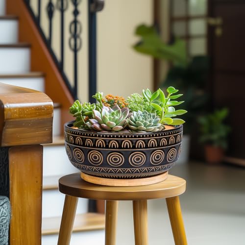 Eightpot Bonsai-Blumentöpfe aus Keramik, 20,3 cm, rund, für Sukkulenten und Zimmerpflanzen, niedriger Topf mit Drainageloch und Tablett… – Ansicht 4