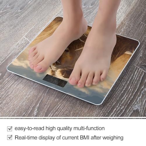 Báscula digital de baño con pantalla LCD grande miniatura 5