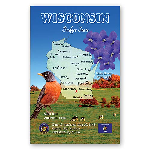 WISCONSIN MAP postcard set of 20 identical postcards. WI state map post cards. Made in USA.
