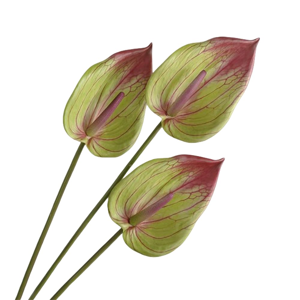 Corkwaw Green 3Pcs Artificial Anthurium Lily Flowers For Home Decor Dining Table Centerpiece Prom Party Decor (Green)