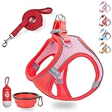 LMOBXEVL Small Dog Harness,Puppy Harness and Leash Set for Walking Escape Proof,Comfortable Air Mesh Dog Vest Harness with Reflective Strip, Step-in Outdoor Pet Vest for Dog Breeds