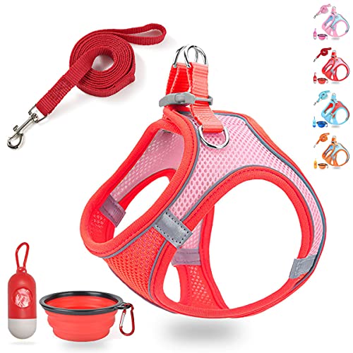 LMOBXEVL Small Dog Harness,Puppy Harness and Leash Set for Walking Escape Proof,Comfortable Air Mesh Dog Vest Harness with Reflective Strip, Step-in Outdoor Pet Vest for Dog Breeds