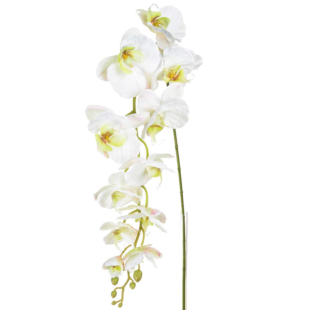 Floristrywarehouse White Orchid Phalaenopsis Artificial Silk Trailing 130Cm