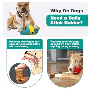 Dog Puzzle Toys Dog Treat Dispensing with Bully Sticks Holder Security Hold Device Interactive Toy to Keep Them Busy Puppy Slow Feeder Securely Holds Bully Sticks to Help Prevent Choking M Green