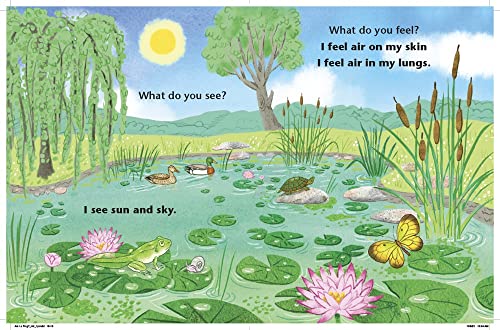 Am I a Frog? (I Like to Read) - Image 3