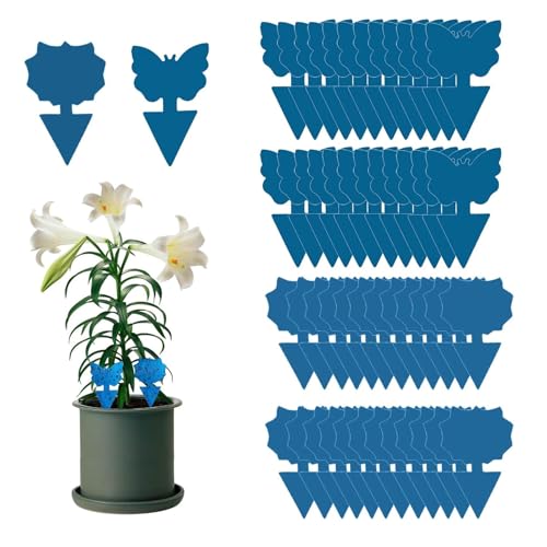Trauermücken Bekämpfen (48 Stück), Blausticker Trauermücken, Für die Zimmerpflanzen Schädlingsbekämpfung, Blau, Schmetterling+Sonnenblume