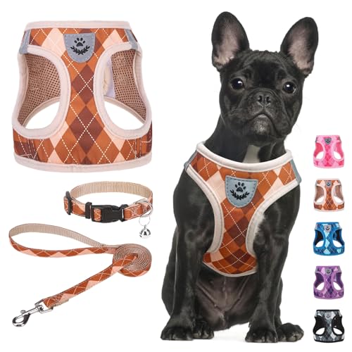 SCENEREAL ^pn[lXƃ[VJ[ZbgAtH[XebvCvȂ\tgbVhbOn[lX ^^qOUA蔽˃xXgn[lXAuEiqM