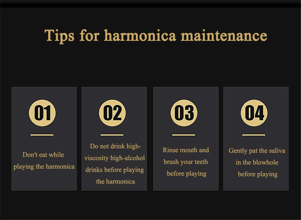 Harmonica C Key Tremolo Diatonic Harmonica con Custodia Rigida e Panno per Giocatori Professionisti, Principianti, Studenti, Adulti e Bambini