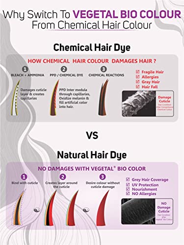 Vegetal-Bio-Colour-Soft-Black-150g