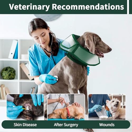 Image of Allroaring Dog Cone Collar, Soft Dog Cones for Medium Dogs After Surgery