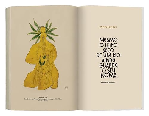 Um defeito de cor - Edição especial