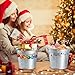 OBTANIM 8 Pack Galvanized Metal Buckets with Handle Ice Pails for Plants, Succulents, Party Favors Organizing, Rustic Home Decor or Classrooms Pencil Storage (7 x 5.1 inch)