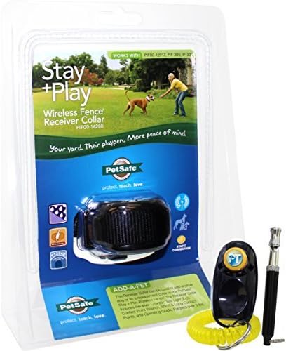 best cat collars with cameras photo 4